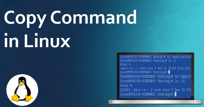 linux復(fù)制文件cp命令怎么使用？.png